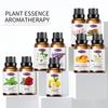 Aromaterapia soluble en agua transfronteriza 30ml dormitorio lavanda planta incienso soluble en agua humidificador aceite esencial mayoreo