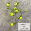Balde de Decoraciones de Año Nuevo Adornos Flor de Año Nuevo Simulación Arreglo Floral Arreglo Floral Ramo de Entrada de Vacaciones Nueva Residencia Mueble de TV Fruta de Acebo