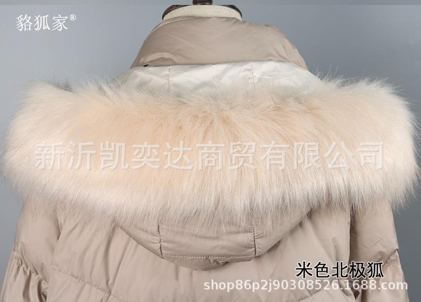 米色北极狐.jpg
