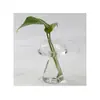 Jarrón de vidrio estilo japonés decoración del hogar gato escritorio planta verde jarrón hidropónico micro-paisaje creativo mini lindo