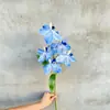 Orquídea Phalaenopsis Artificial Hu Ji Lan Decoración de Mesa Arreglo Floral Adorno Flor Seca Pared de Flores de Boda Fotografía En Stock