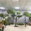 Árbol de Madera Bebida Verde Rojo Arce Simulado Personalizado Estilo Ins Decoración Interior Grande Árbol Artificial Piso de Sala de Estar Paisajismo Plantas Verdes