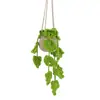 Paquete de Materiales de Crochet Más Vendido de Amazon Serie de Plantas Adornos de Flores en Maceta Regalos Soporte Dropshipping