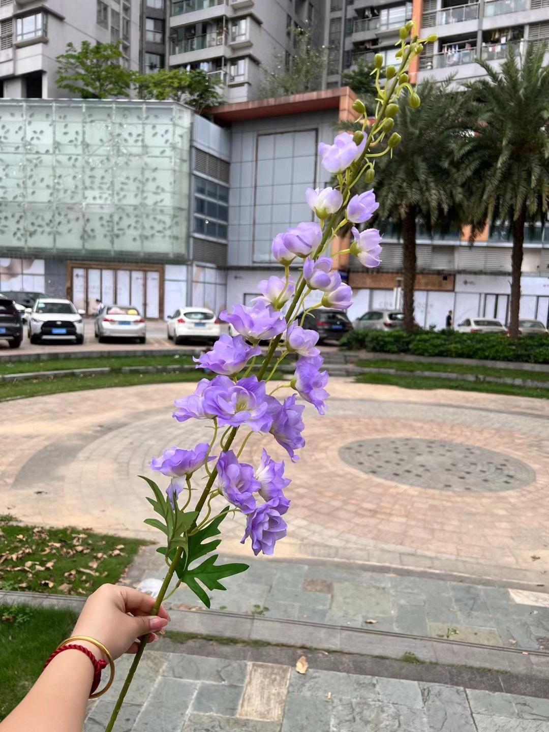 微信图片_20240818143628.jpg