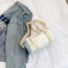Bolso casual de estilo coreano de moda popular de este año, nuevo bolso de mensajero de un solo hombro de primavera 2024, bolso de mujer simple de estilo occidental para viajar diariamente