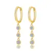 Joias Transfronteiriças Moda de Nicho Brincos de Franja Prata Esterlina S925 Zircônia 5A Brincos Argola Femininos Luxo Leve Venda Direta da Fábrica