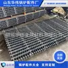 Acessórios para caldeiras incluem grelhas ativas e passivas, mais correntes passivas quadradas grossas, Dalian Sunshine HT200 RTSi5