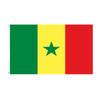 Bandera de Senegal Bandera de Senegal90*150cm Copa del Mundo 32 bandera fuerte punto de bandera transfronterizo