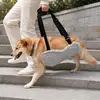 Nueva Correa de Soporte para Perros Transpirable y Cómoda Correa de Soporte para Caminar en Recuperación Post-Operación de Mascotas Suministros para Mascotas