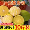 Tangerinas Frescas, Frutas Cítricas de Casca Fina, Laranjas para Atacado