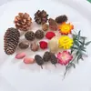 Flores secas frutas secas cascas de frutas pinhas decoração handmade diy matérias-primas naturais estilo floresta aromaterapia Natal pelúcia