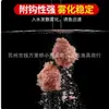 Caña de Pesca Flotante Wuhan Tianyuan Deng Gang 450g Señuelo Caña de Pesca Flotante Wuhan Tianyuan Deng Gang 450g Señuelo