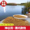 Isca Shengu para Pesca de Carpa Negra, Isca de Carpa Sem Fumaça, Peixe Re-Cozido, Peixe Velho Escorregadio, Isca de Carpa para Pegar Carpas no Tanque Original