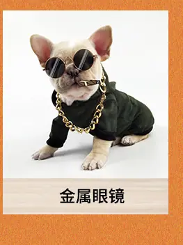 宠物用品关联推荐_09.jpg