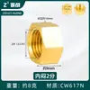 Conector de Cobre de 4 Puntos con Rosca Externa Hexagonal, Tapón Antiexplosión, Tapa de Enchufe de 6 Puntas, Tapón Ciego de Rosca Interna de 1 pulgada, Tapón de Tubería, Tapa de Tapón para Tubería de Agua