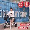 Triciclo Eléctrico, Pequeño, Triciclo Plegable Ligero para Recoger Niños y Señoras, Uso Doméstico para Ancianos, Leidezhu