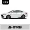 Adecuado para Byd Qin Coche Lápiz de Pintura para Retoques, Seal, Seagull, Destroyer, Frigate, Coche Especial, Color Especial
