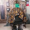 Em estoque atacado ferramentas de cabeleireiro cabeleireiro xale salão de cabeleireiro Barber shop suprimentos perm tingimento de cabelo ferramentas de tratamento de cabelo atacado