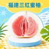 Pomelo Rojo Miel de Guanxi Pinghe Fujian, entrega directa caja de regalo de fruta grande de 5/4.5 kg, dulce y jugoso, fruta fresca de temporada