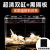 Acuario de Bloques de Construcción, Pez Betta, Peces Ornamentales, Acuario Acrílico, Paisajismo de Escritorio, Tanque Ecológico Creativo para Tortugas