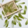 Suministro directo de fábrica vidrio hoja de bambú recta hoja de árbol pétalos de hoja materiales de producción para horquilla hecha a mano diy tocado antiguo borla