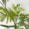 Planta artificial bonsái hoja de doble capa Helecho bonsái planta verde china decoración de suelo para sala de estar decoración bambú hogar