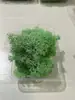 Musgo de Reno Preservado Flor Seca DIY Paisajismo Micro Paisaje, Botella Ecológica, Planta en Maceta de Vidrio, Cubierta de Suelo para Bonsái