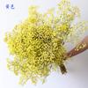 Ramo de flores secas de Gypsophila estilo ins decoración para el hogar Flores Eternas Gypsophila flores secas de Yunnan Gypsophila ramo de gypsophila
