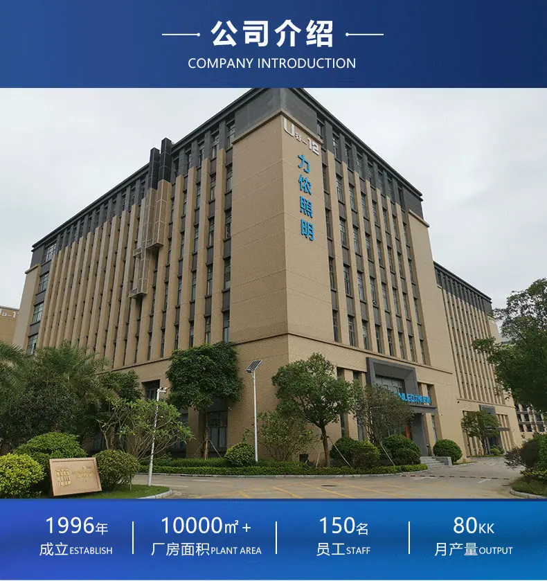 灯带公司简介_01