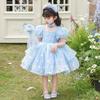 Vestido de Princesa Lolita para Niñas Verano 2025 Nuevo Vestido Infantil Elsa Frozen Vestido de Cumpleaños