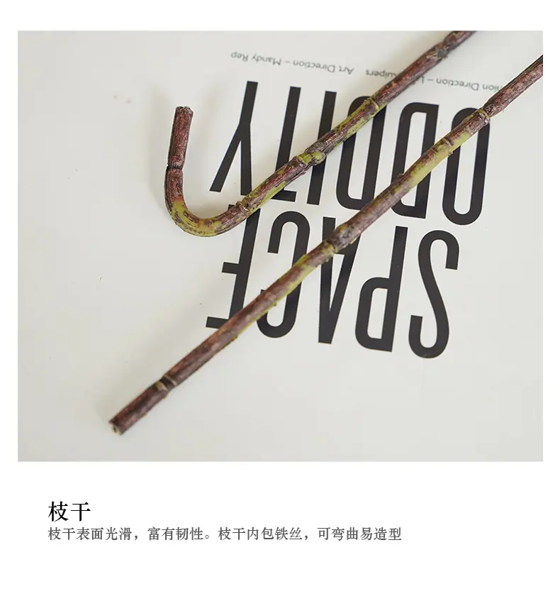 罗加4叉橄榄带果_15.jpg