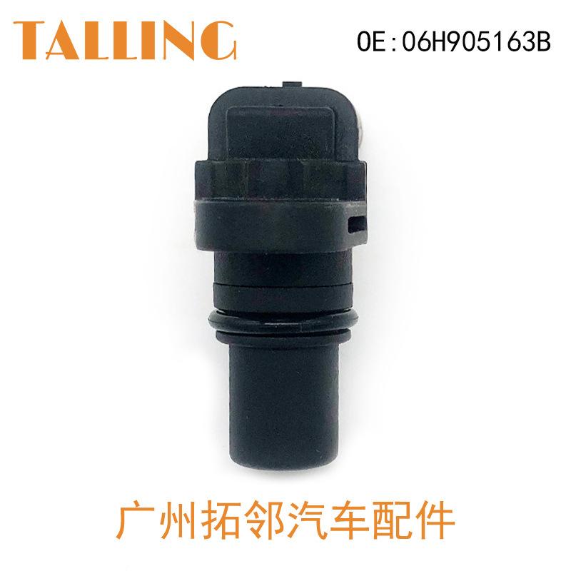 06H905163B (4)