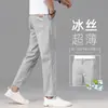 Pantalones Cortos de Seda de Hielo Ultrafinos Modelo Nuevo 2026 para Hombre, Corte Recto Holgado, Pantalones Casuales de Tencel Gris Claro Nuevo de Otoño de 9 Puntos