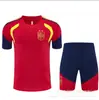 Novas camisas de futebol da Espanha, Argentina, Brasil, França, Feyenoord, Alemanha, Itália, Chelsea, atacado transfronteiriço