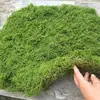Musgo filamentoso de pelo blanco musgo de lana de hierba musgo verde artificial arreglo de paisaje césped bonsái plantación en maceta