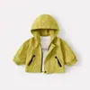 Conjunto de tres piezas para bebé niño: playera básica con estampado de letras, sudadera con capucha sencilla, pantalón de punto con estampado de letras para otoño