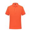 Ropa de Trabajo, Playeras tipo Polo de Algodón Puro, Camisas Publicitarias de Verano con Logo Impreso Personalizado, Uniformes Promocionales para Grupos de Trabajo en Conferencias