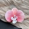 Cabeza de Flor de Phalaenopsis de Película Artificial Impresa en 3D Horquilla para el Cabello de Celebridad de Internet Souvenir de Boda Caja de Dulces de Boda Flores Falsas Decoradas a Mano
