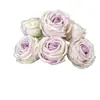 Decoração de Casamento Ornaments Princess Rose de 7 Cabeças Decoração de Interiores Flores Artificiais Multi-Cabeças Adereços para Fotografia Flores Artificiais