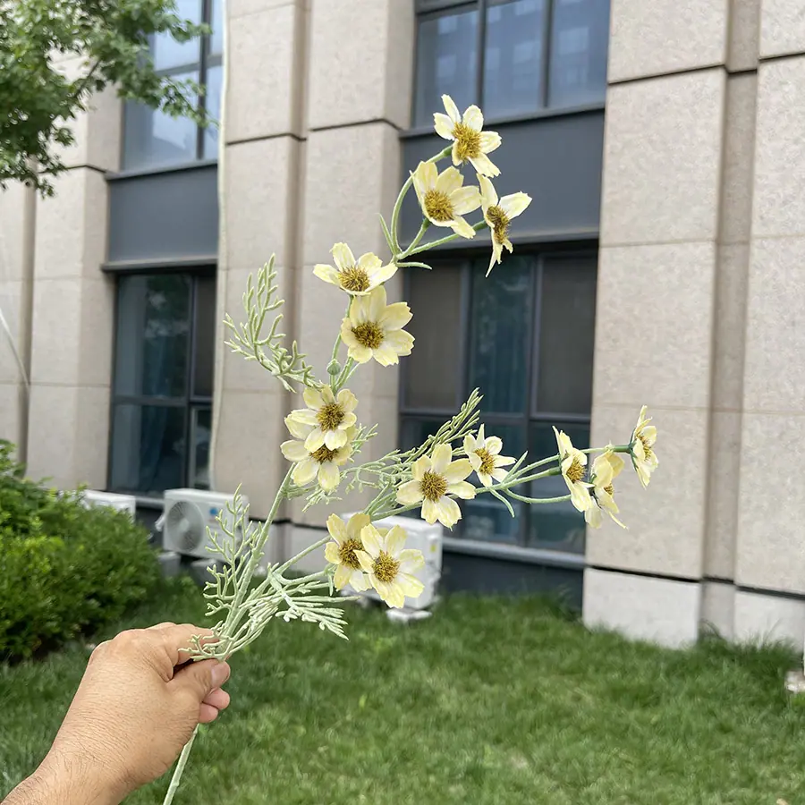 2叉植绒小野菊-xjmlkx 5#黄色.JPG