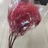Ins Fresco Celebridad de Internet Ramo de Flores Flor Eterna Hierba de Ensueño Rosa Gracilaria Adornos Decoración de Sala de Estar Muebles para el Hogar