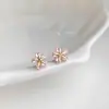 Brincos de Flor de Zircônia Rosa Cintilante, Frescos e Doces, Mini, Compactos e Fofos, Brincos de Fábrica Estilo Novo para Mulheres, Cadeia de Suprimentos