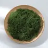 Gramado de Musgo Sintético, Musgo Artificial Falso para Arranjo de Micro-Paisagem, Decoração de Gramado, Bonsai e Design de Paisagem