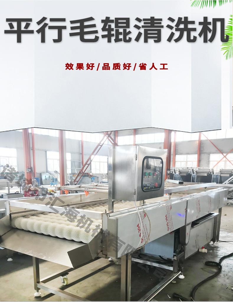 毛辊清洗机_02.jpg