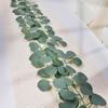 Eucalipto artificial transfronterizo de 72 hojas, hoja de dinero dorada, simulación de eucalipto, ratán, diseño de fondo para fiesta de boda en Amazon