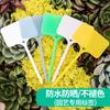 Letrero de plástico grueso con diseño de abanico para jardín, letrero para escribir, etiqueta para planta