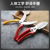 Tijeras para ajo herramientas agrícolas nuevas en caja tijeras para cabeza de cebolla y ajo tijeras para ajo curvas tijeras para ajo de dos colores con mango recto