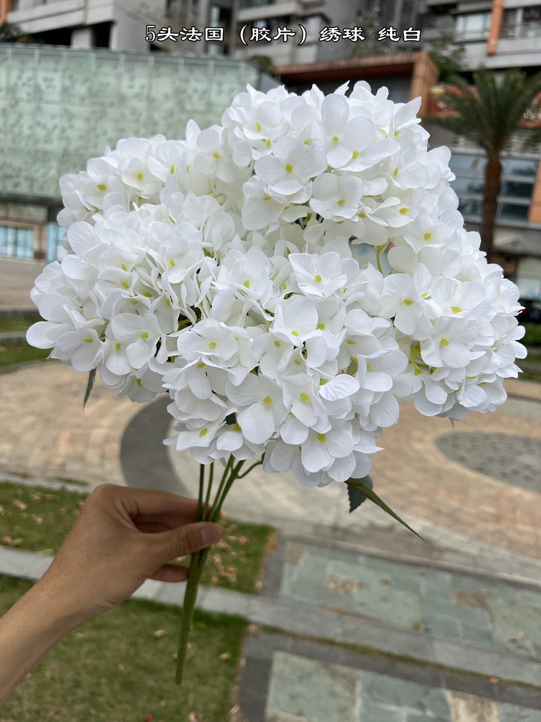 微信图片_20220319174615.jpg