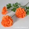 Flores de simulación wabi-sabi flores secas color café colores de otoño tonos tierra retro flores artificiales arte floral patrón de flor de suelo modelo decoración de habitación