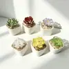 Zibo Florero de Vid Flor de Peonía Planta Flor de Vid Artificial Regalo del Día de la Madre Adorno de Escritorio Decoración de Coche Artesanía